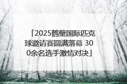 2025鹤壁国际匹克球邀请赛圆满落幕 300余名选手激情对决
